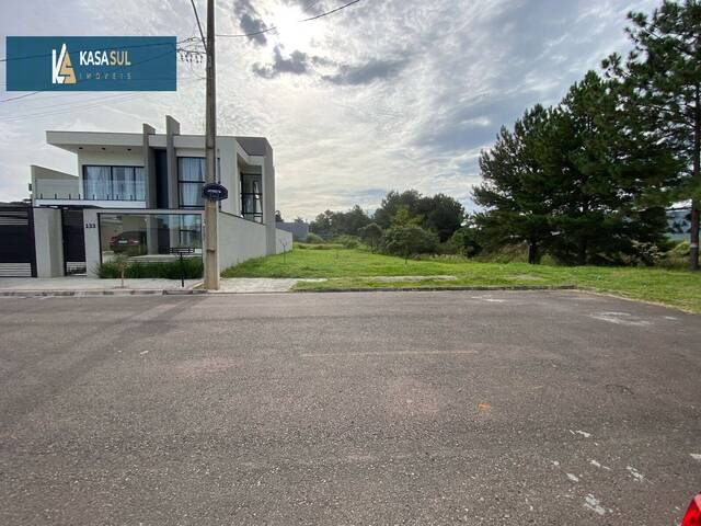 #152 - Área para Venda em São José dos Pinhais - PR - 3