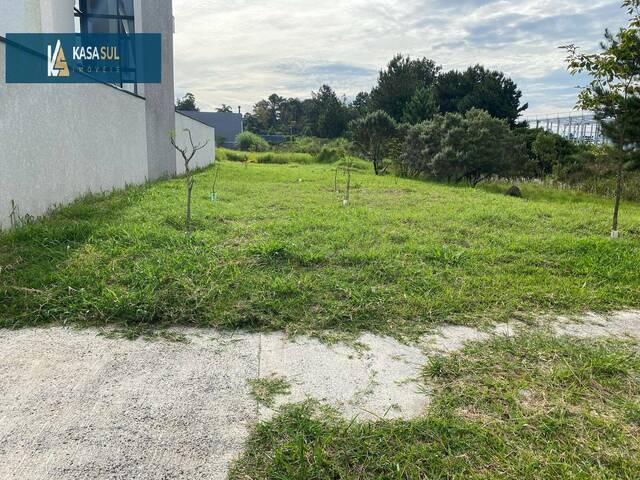 #152 - Área para Venda em São José dos Pinhais - PR - 1