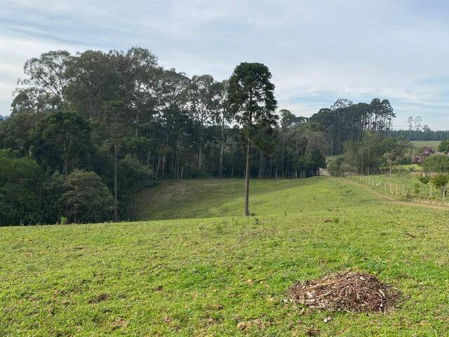 #170 - Chácara para Venda em Curitiba - PR - 2