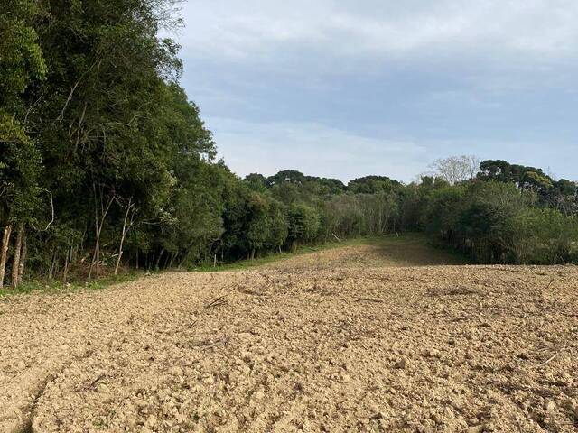 #171 - Chácara para Venda em Curitiba - PR - 2