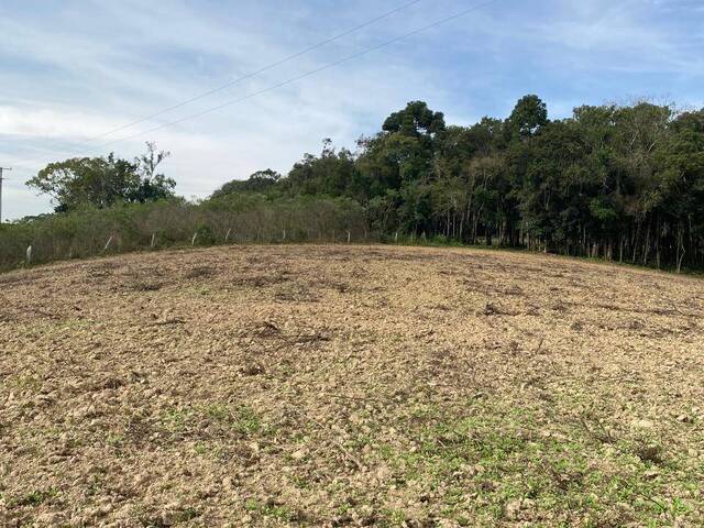#171 - Chácara para Venda em Curitiba - PR - 3