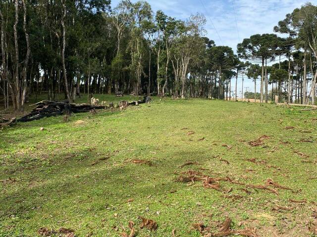 #171 - Chácara para Venda em Curitiba - PR - 1